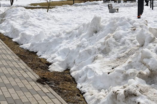 Drifts of dirty snow in park in early spring