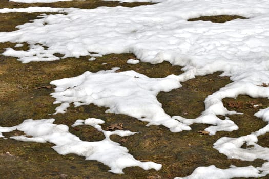 Snow thawed areas in early spring