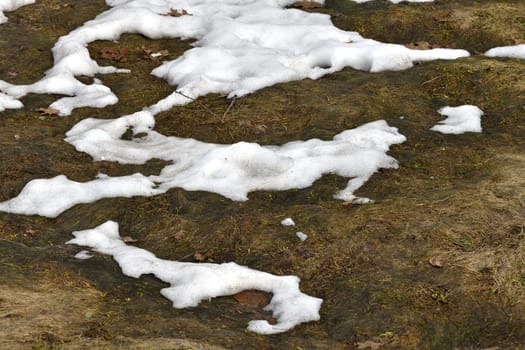 Snow thawed areas in early spring