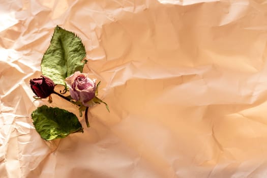 Concept shot of the background theme, wrapping paper, dried roses other flowers and other arrangements.