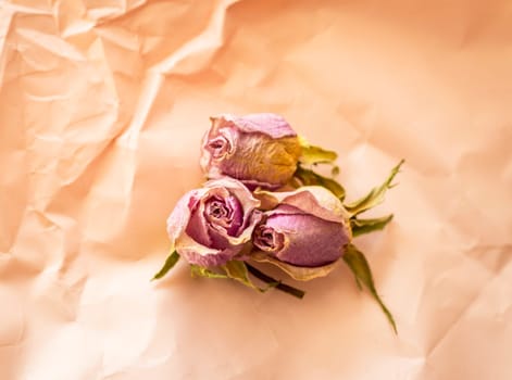 Concept shot of the background theme, wrapping paper, dried roses other flowers and other arrangements.
