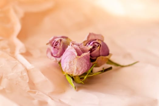 Concept shot of the background theme, wrapping paper, dried roses other flowers and other arrangements.
