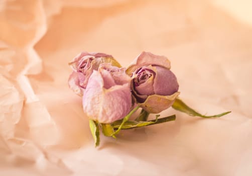 Concept shot of the background theme, wrapping paper, dried roses other flowers and other arrangements.