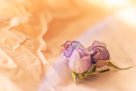 Concept shot of the background theme, wrapping paper, dried roses other flowers and other arrangements.
