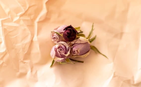 Concept shot of the background theme, wrapping paper, dried roses other flowers and other arrangements.