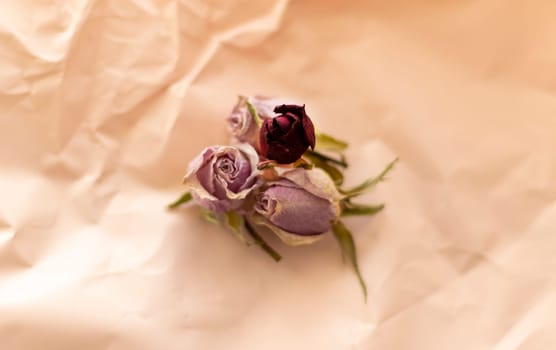 Concept shot of the background theme, wrapping paper, dried roses other flowers and other arrangements.