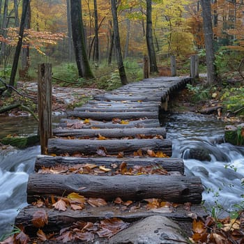 A rustic wooden bridge over a forest stream, evoking adventure and exploration.