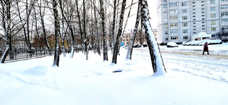 Landscape shot of the street on the winter day