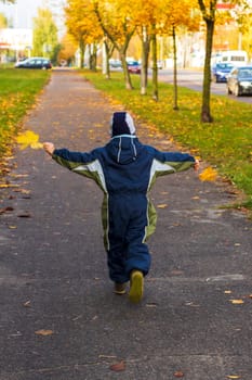 Shot of the little kid, wearing overalls, Walking in the park, carrying colorful autumn leaves.