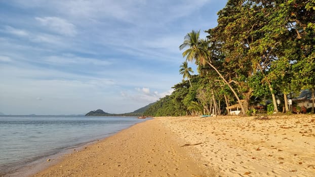 A tranquil scene of a sandy beach stretching along the ocean, lined with tall swaying palm trees under a clear blue sky. Koh Libong Thailand