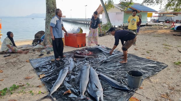 Koh Mook Thailand 20 January 2024, A diverse group of people standing around a colorful array of freshly caught fish, negotiating prices and discussing their purchases.