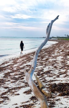 Shot of the woman by the sea shore with the cell phone, at sunrise hour