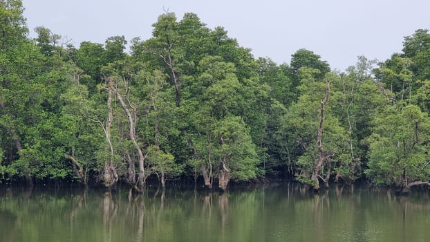 A tranquil body of water reflects the lush green canopy of surrounding trees, creating a peaceful and secluded oasis in the heart of the forest. Chantaburi Thailand