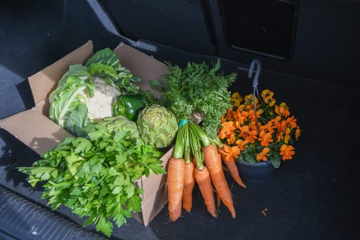 cardboard box with an assortment of fresh vegetables stands in the trunk of a car, natural products and healthy eating, the concept of cooking at home, high quality photo
