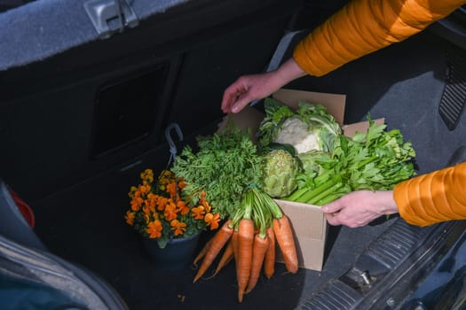 woman takes out a cardboard box with an assortment of fresh vegetables from the trunk of a car, organic food is the key to healthy eating, concept of cooking at home, high quality photo