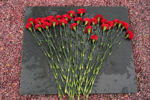 fresh red carnations lying on a granite slab.