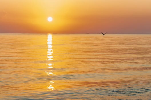 Shot of the dramatic sunrise by the sea.