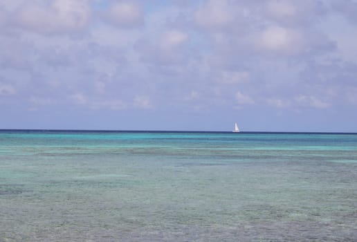 Shot of the beautiful beach in the tropical island