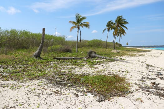 Shot of the beautiful beach in the tropical island
