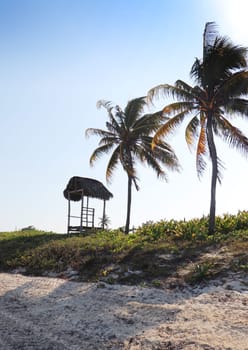 Shot of the beautiful tropical beach