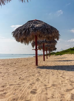 Close up shot of beach umbrellas made of palm trees