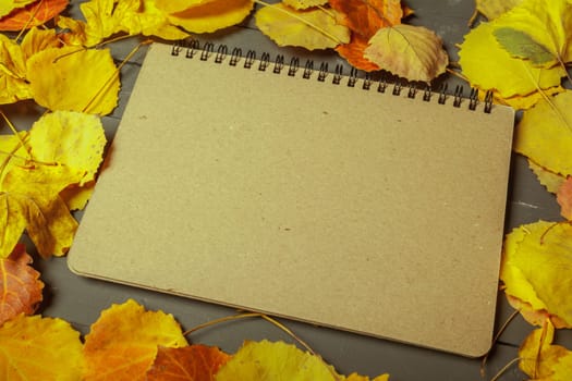 Colorful autumn leaves over wood background with copy space