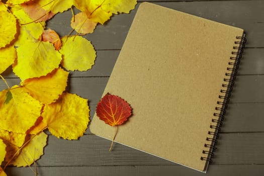 Colorful autumn leaves over wood background with copy space