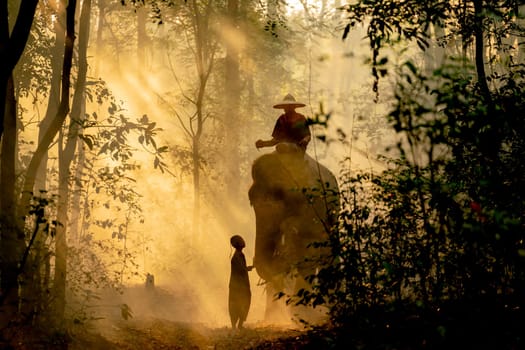 Silhouette of little boy stand and touch leg of elephant also look to mahout with sunlight shine through tree in forest in concept of good relationship between human and wildlife animal.