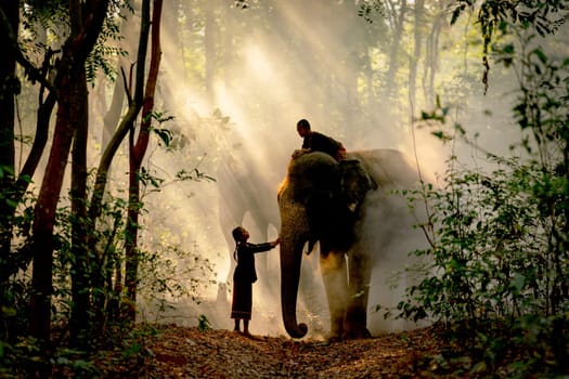 Silhouette of little girl touch elephant that has boy sit on its back in the forest with beautiful beam light in concept of relationship between animal and human in daily life.
