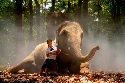 Asian girl read book and sit on leg of elephant with happiness emotion in concept of good relation between human and animal.