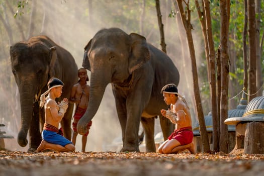 Two Asian men sit and action with traditional martial art fight by pray position before start of fighting and elephant on background.