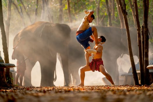 Two Asian men fight by traditional martial arts with one man stand on thigh of other man and action look like elbow beat to opponent and group of elephants on background.