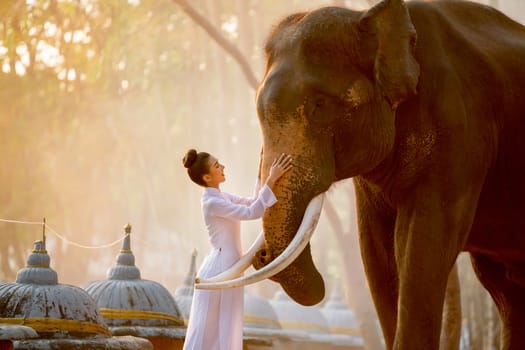 Beautiful Asian woman with white dress look like vietnam style touch elephant with love and careful with fog or mist in the background and they look happy.