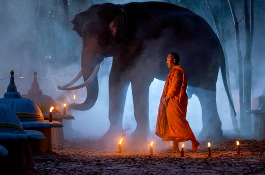 One monk action of walking meditation in front of big elephant stand on the background at night.
