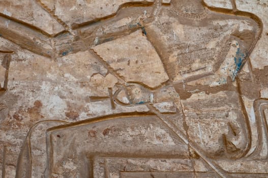 Luxor Egypt Hyerogliphs detail