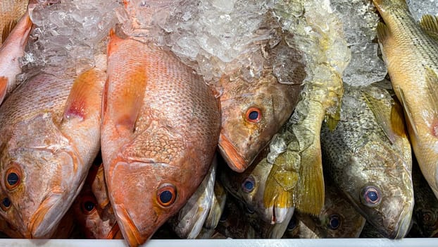 Wet market wonders with fish on display. Wet market concept.