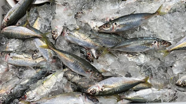 Wet market wonders with fish covered with ice on display. Wet market concept.