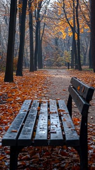 Lonely bench in autumn park, evoking solitude and change.