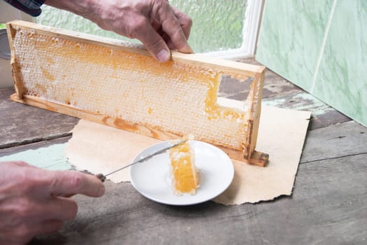 man cuts honeycombs from a honey frame with a knife for eating for tea, honey in honeycombs is good for the health of a pensioner, High quality photo