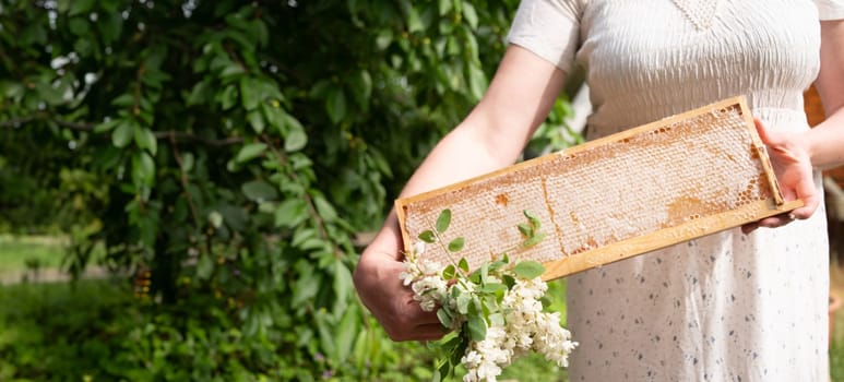 young woman holds a frame with honeycombs full of fresh acacia honey, a new harvest of a sweet bee delicacy, time to collect honey, copy space, high quality photo