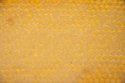 full frame with honeycombs with honey, organic enriched beekeeping product for healthy eating, alternative medicine, amber honeycomb texture, high quality photo