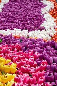 imitation flower, Colorful artificial tulip flowers in the flowerbed.