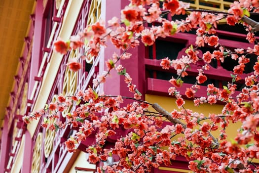 imitation flower, artificial Japanese cherry blossoms in full bloom. Beautiful flowers background.