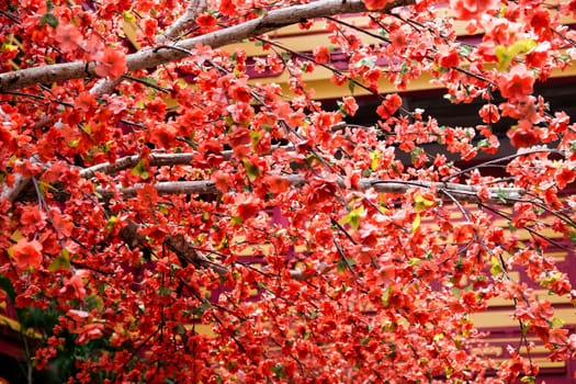 imitation flower, artificial Japanese cherry blossoms in full bloom. Beautiful flowers background.