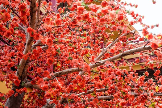 imitation flower, artificial Japanese cherry blossoms in full bloom. Beautiful flowers background.