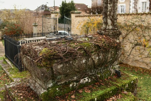 Abandoned grave with a roots in a cemetery Europe