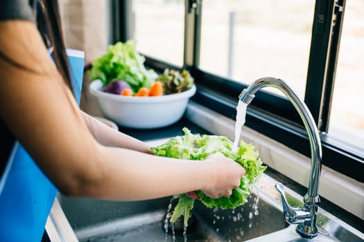 Hygienic food preparation, woman's hands wash various fresh vegetables under running water in a modern kitchen sink preparing a vegan salad. Clean and fresh leafy greens.