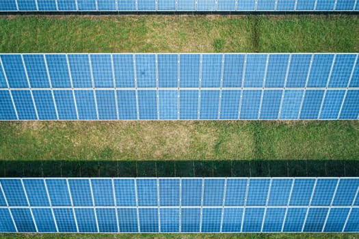 Aerial top down shot of solar panels farm on the green field. Renewable alternative green energy concept.