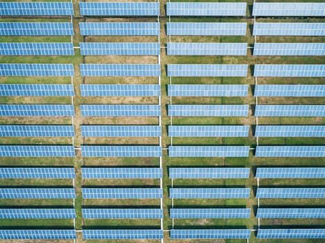 Aerial top down shot of solar panels farm on the green field. Renewable alternative green energy concept.