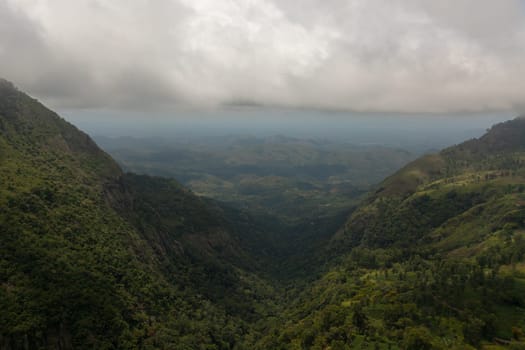 Mountains with rainforest and jungle in the mountainous province of Sri Lanka.